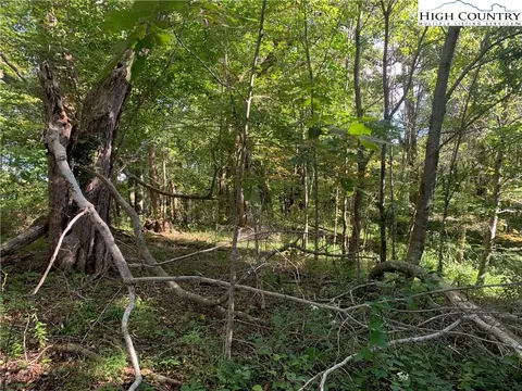 0 Big Windfall Rd, Lansing, NC 28643 photo 21