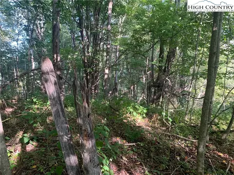 0 Big Windfall Rd, Lansing, NC 28643 photo 25