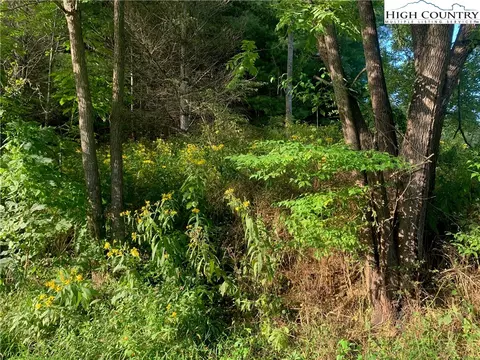 0 Big Windfall Rd, Lansing, NC 28643 photo 33