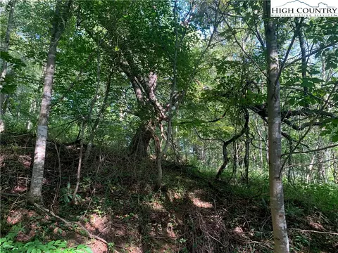 0 Big Windfall Rd, Lansing, NC 28643 photo 24