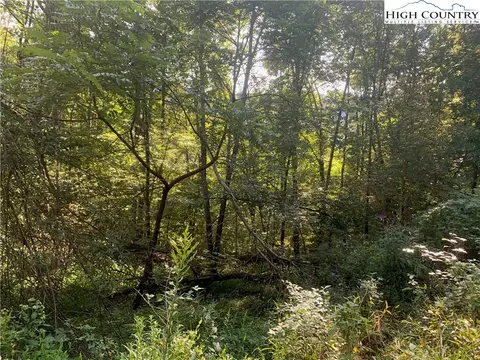 0 Big Windfall Rd, Lansing, NC 28643 photo 12