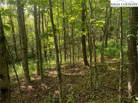 0 Big Windfall Rd, Lansing, NC 28643 photo 30