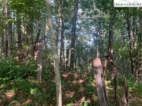 0 Big Windfall Rd, Lansing, NC 28643 photo 26