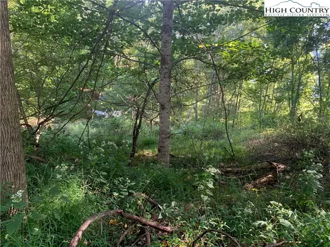 0 Big Windfall Rd, Lansing, NC 28643 photo 19