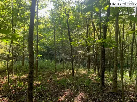 0 Big Windfall Rd, Lansing, NC 28643 photo 28