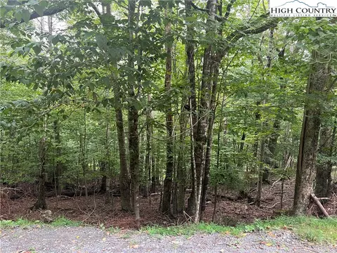 117 Lower Grouse Ridge Rd, Beech Mountain, NC 28604