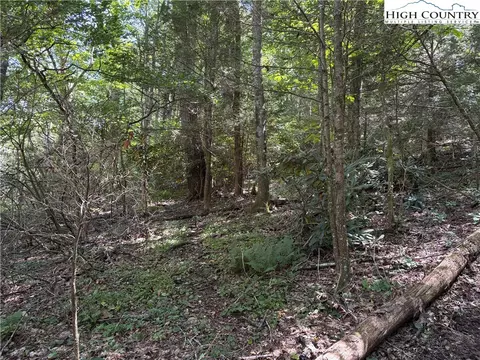 tbd Grouse Covert Rd, Boone, NC 28607 photo 4