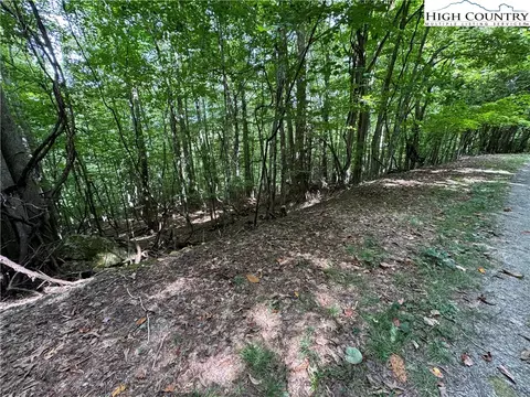 113 Arrowhead Rd, Beech Mountain, NC 28604 photo 2