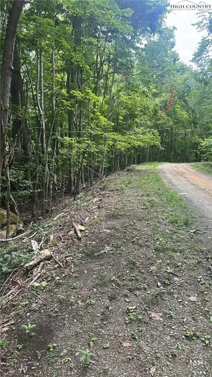 113 Arrowhead Rd, Beech Mountain, NC 28604 photo 9