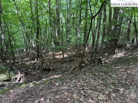 113 Arrowhead Rd, Beech Mountain, NC 28604 photo 3