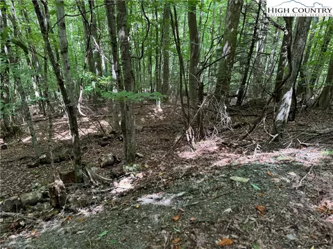 113 Arrowhead Rd, Beech Mountain, NC 28604 photo 4
