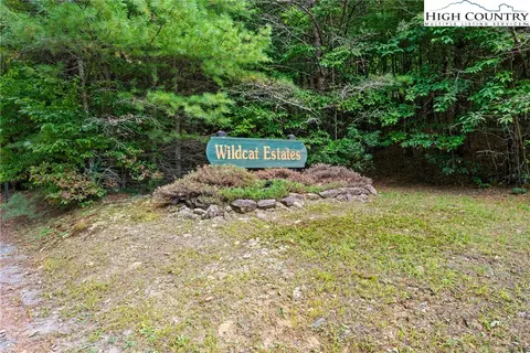 Other - 368 Wildcat Estates Dr, Deep Gap, NC 28618 photo 16 of 18