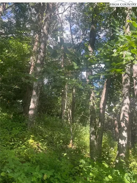 tbd Ayers Mtn E, Banner Elk, NC 28604