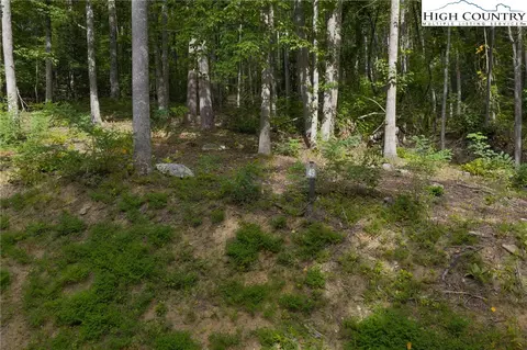 lot49 Wildcat Wilderness Pkwy, Deep Gap, NC 28618 photo 27