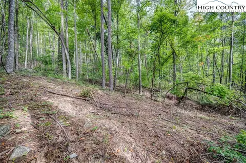 lot49 Wildcat Wilderness Pkwy, Deep Gap, NC 28618 photo 4