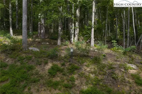 lot49 Wildcat Wilderness Pkwy, Deep Gap, NC 28618 photo 26