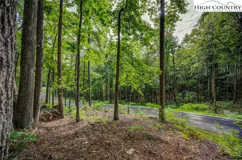 lot49 Wildcat Wilderness Pkwy, Deep Gap, NC 28618 photo 5
