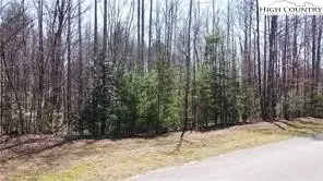 lot Apt 18 Blue Mountain Dr, Wilkesboro, NC 28697