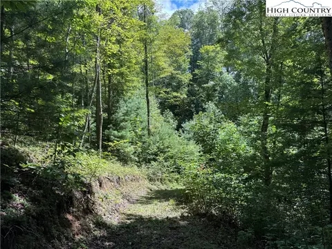 tbd Bryan Davis Rd, Creston, NC 28615 photo 19