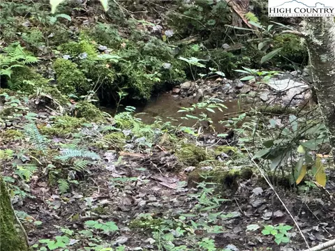 tbd Bryan Davis Rd, Creston, NC 28615 photo 16