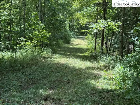 tbd Bryan Davis Rd, Creston, NC 28615 photo 13