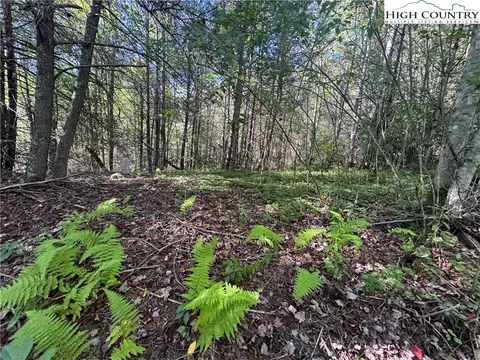 tbd Bryan Davis Rd, Creston, NC 28615 photo 32
