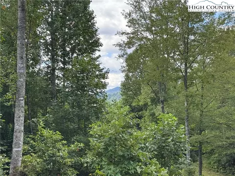 tbd Bryan Davis Rd, Creston, NC 28615 photo 23