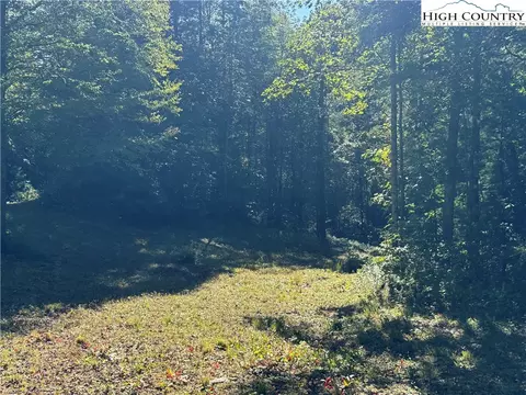 tbd Bryan Davis Rd, Creston, NC 28615 photo 39