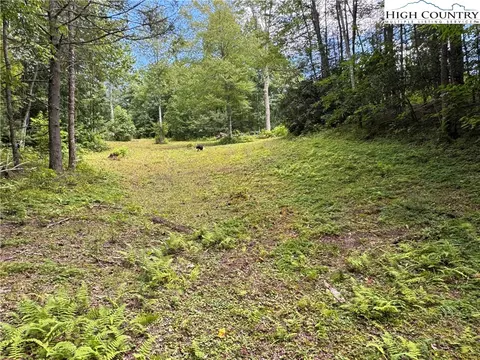 tbd Bryan Davis Rd, Creston, NC 28615 photo 2