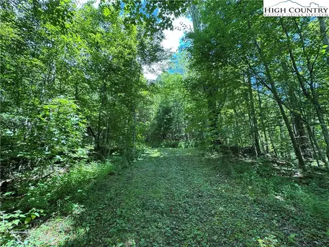 tbd Bryan Davis Rd, Creston, NC 28615 photo 8