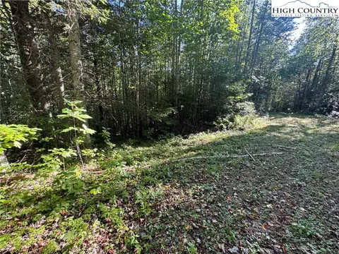 tbd Bryan Davis Rd, Creston, NC 28615 photo 29