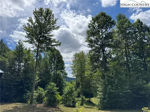 tbd Bryan Davis Rd, Creston, NC 28615 photo 9