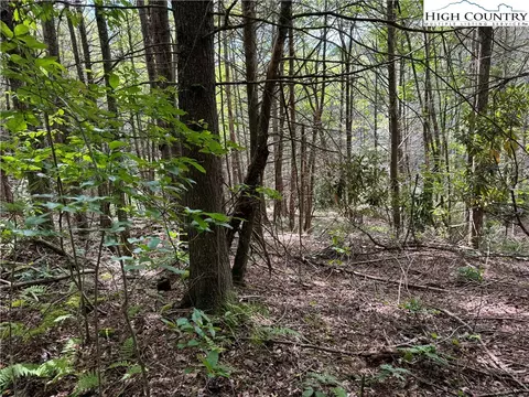 tbd Bryan Davis Rd, Creston, NC 28615 photo 11