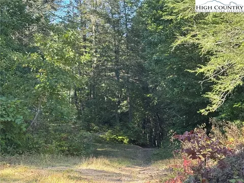 tbd Bryan Davis Rd, Creston, NC 28615 photo 42