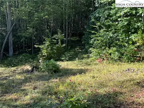tbd Bryan Davis Rd, Creston, NC 28615 photo 35