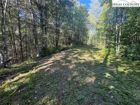 tbd Bryan Davis Rd, Creston, NC 28615 photo 31
