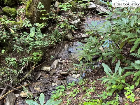 tbd Bryan Davis Rd, Creston, NC 28615 photo 6