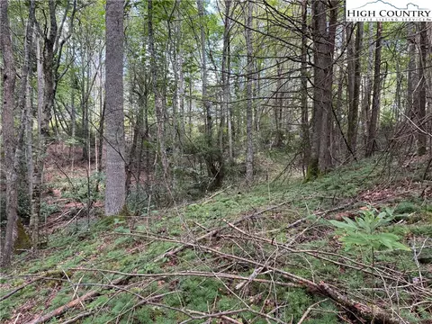 tbd Bryan Davis Rd, Creston, NC 28615 photo 12