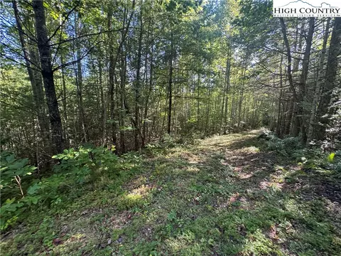 tbd Bryan Davis Rd, Creston, NC 28615 photo 30