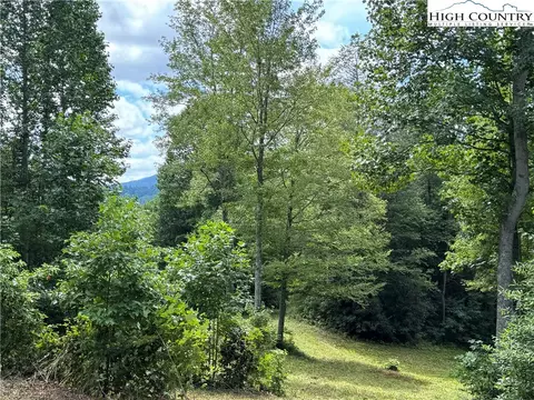 tbd Bryan Davis Rd, Creston, NC 28615 photo 3