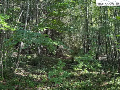 tbd Bryan Davis Rd, Creston, NC 28615 photo 37