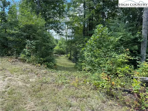 tbd Bryan Davis Rd, Creston, NC 28615 photo 26