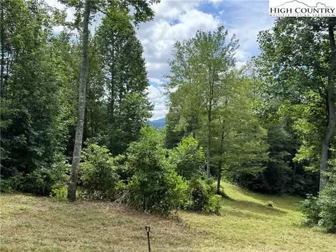 tbd Bryan Davis Rd, Creston, NC 28615 photo 7