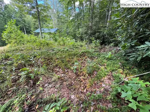 tbd Bryan Davis Rd, Creston, NC 28615 photo 21