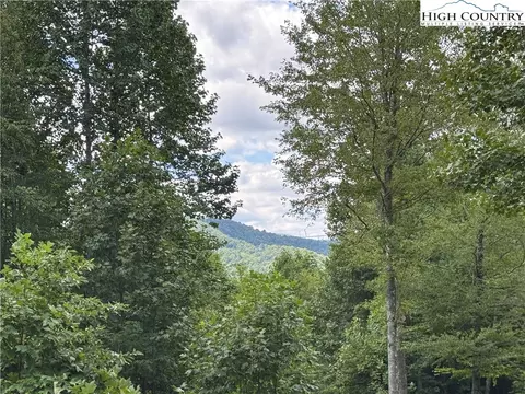 tbd Bryan Davis Rd, Creston, NC 28615 photo 25