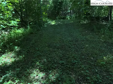 tbd Bryan Davis Rd, Creston, NC 28615 photo 20
