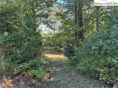 tbd Bryan Davis Rd, Creston, NC 28615 photo 41