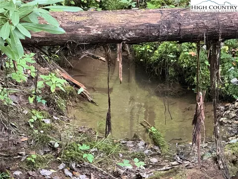 tbd Bryan Davis Rd, Creston, NC 28615 photo 5