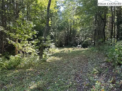 tbd Bryan Davis Rd, Creston, NC 28615 photo 33