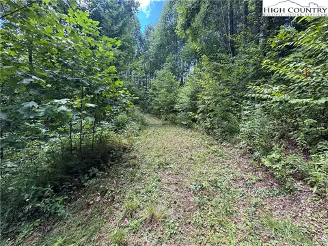 tbd Bryan Davis Rd, Creston, NC 28615 photo 28